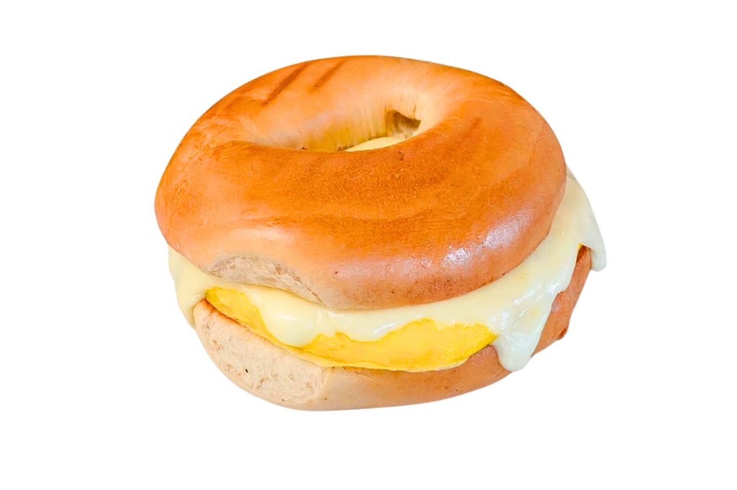 Beagle Mix Cheese