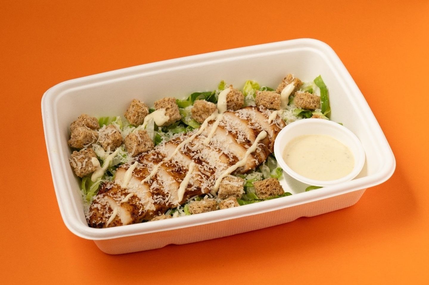 Chicken Ceasar Salad