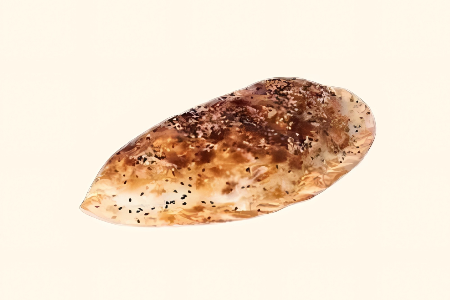 شطيرة فلافل ساده