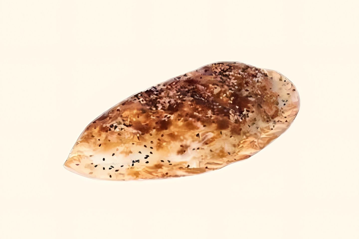 شطيرة فلافل ساده