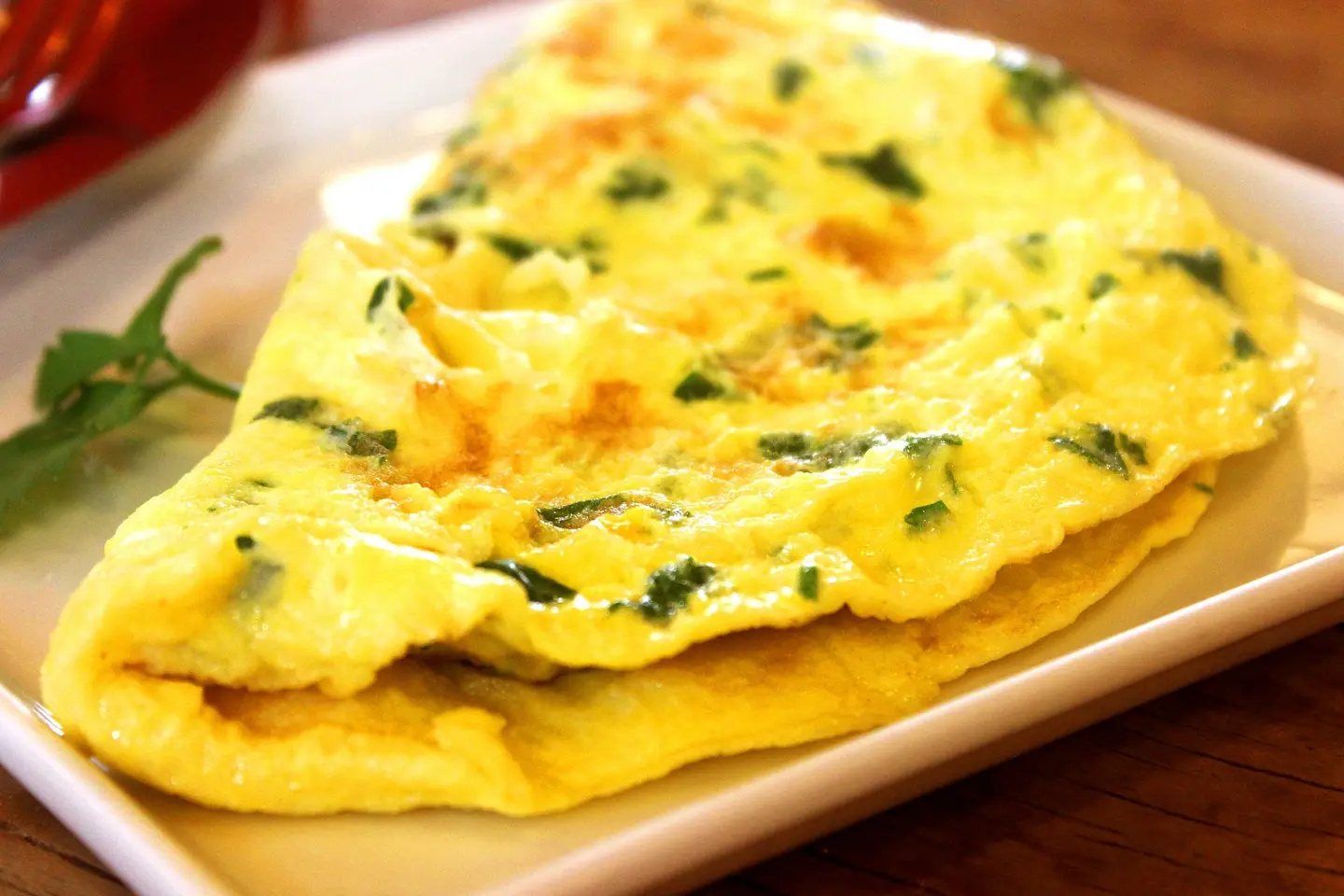 Egg Omelette