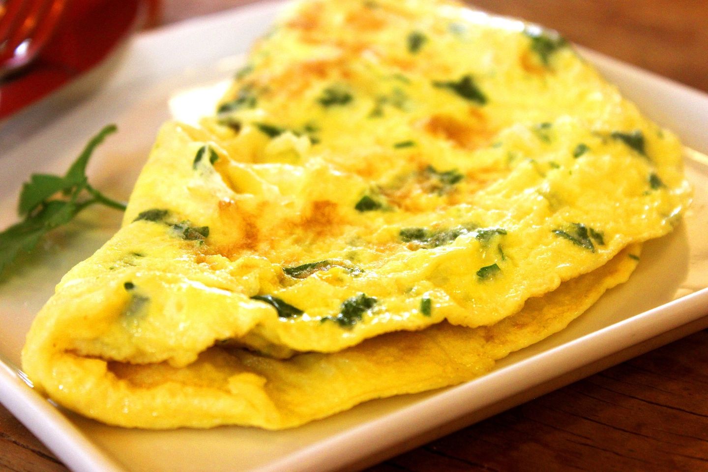 Egg Omelette