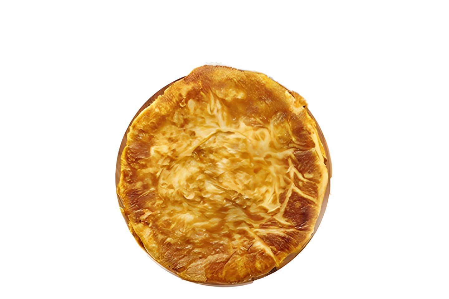 مشلتت