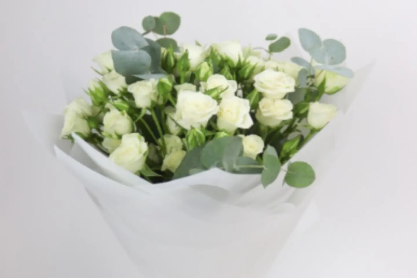 باقة الأنوار ١٠ بيبي روز