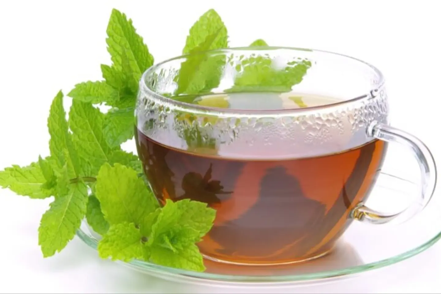 Tea With Mint