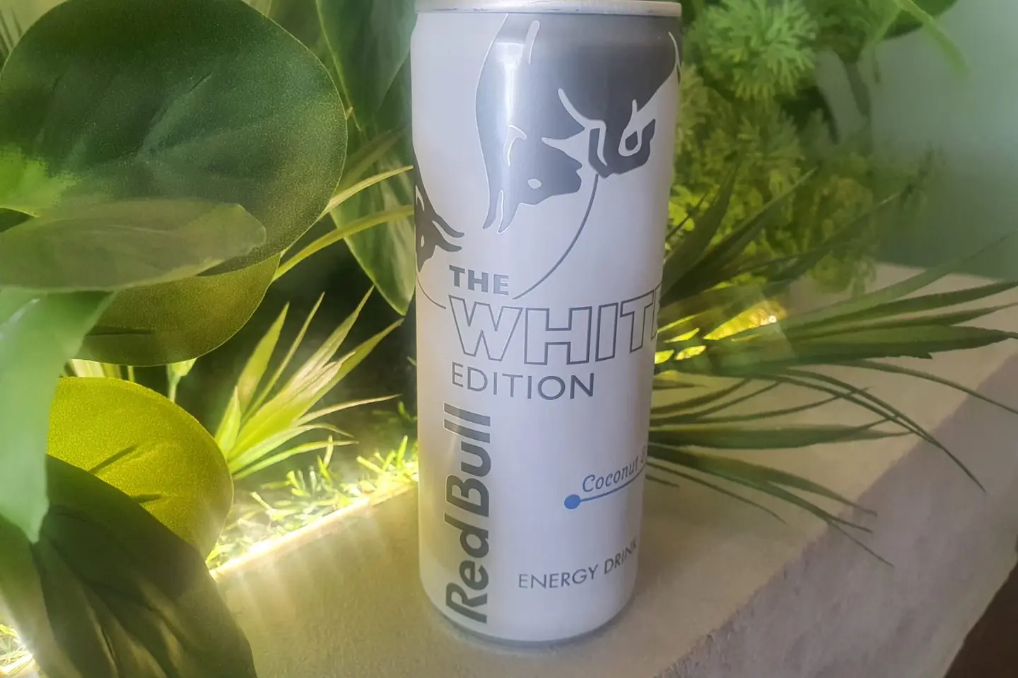 Red Bull Coconut And Berries