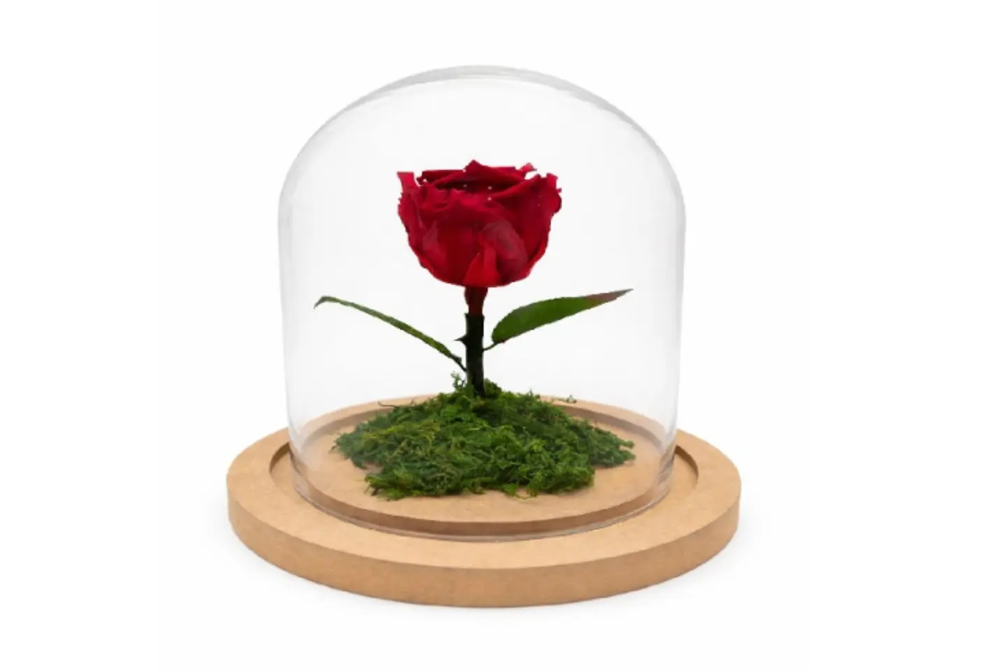 لاكسريجي وردة الحياة ٠٢٣٨ - ورد وردي