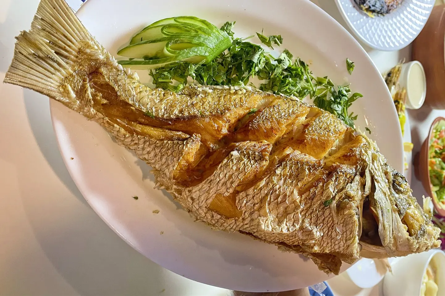 شعور مقلي - كيلو