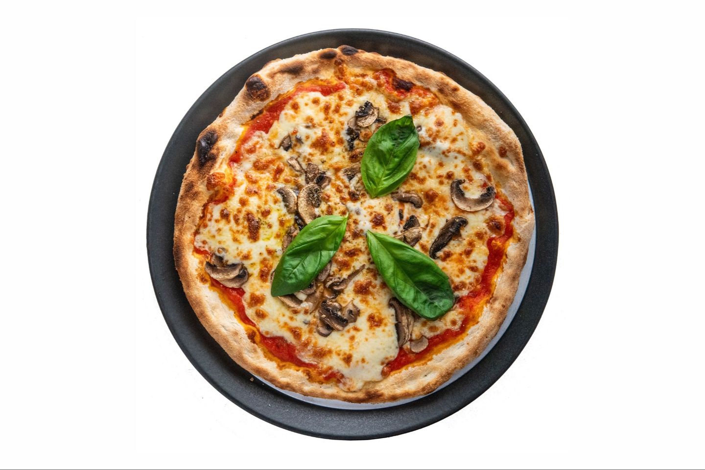 Alfunghi