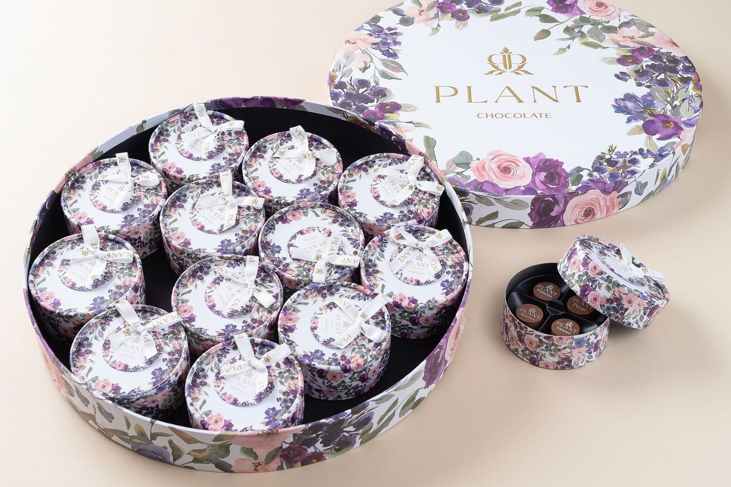 Plant 6