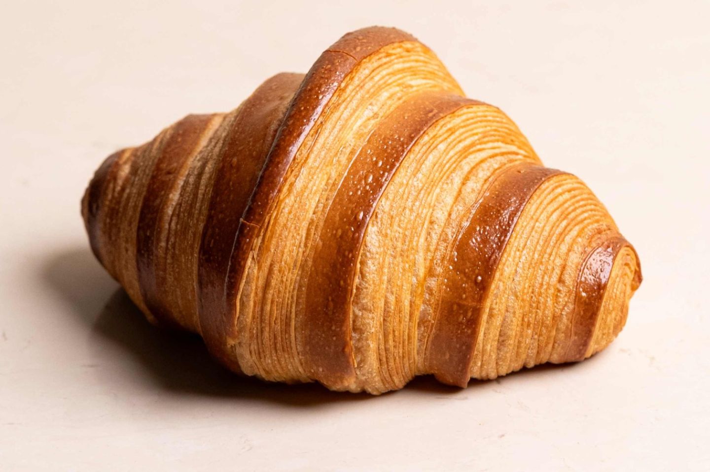 Cheese Croissant