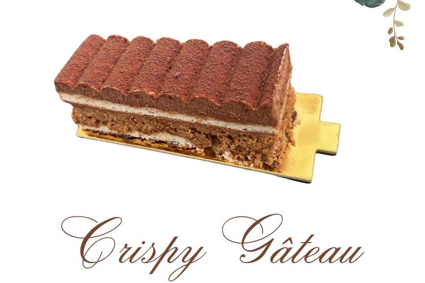 Chocolate Crispy