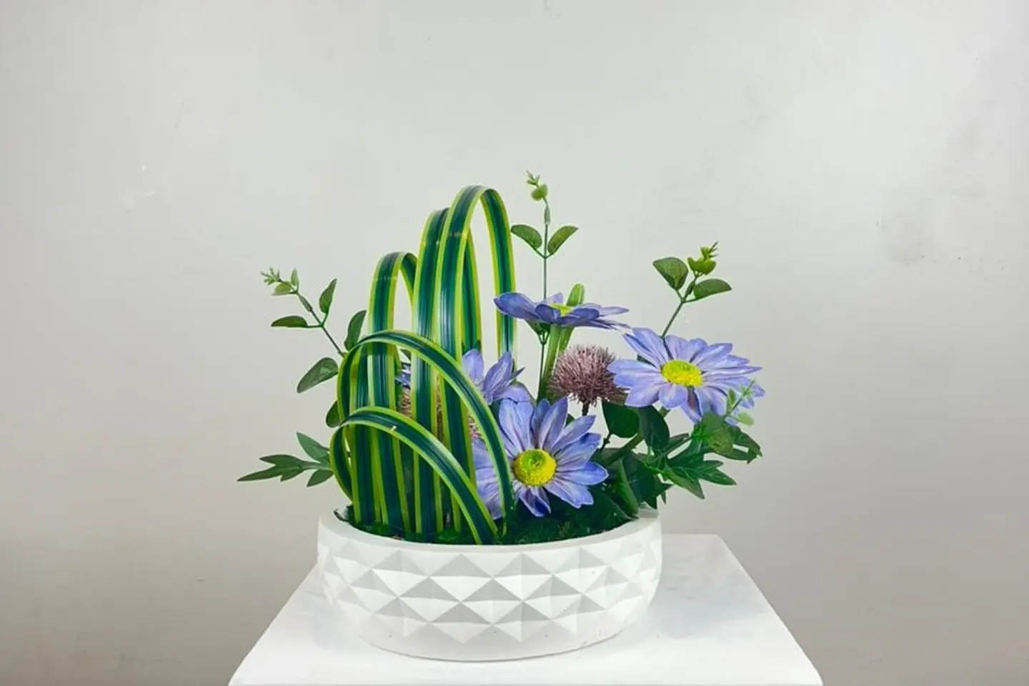 فازات جوناروز ٢٦