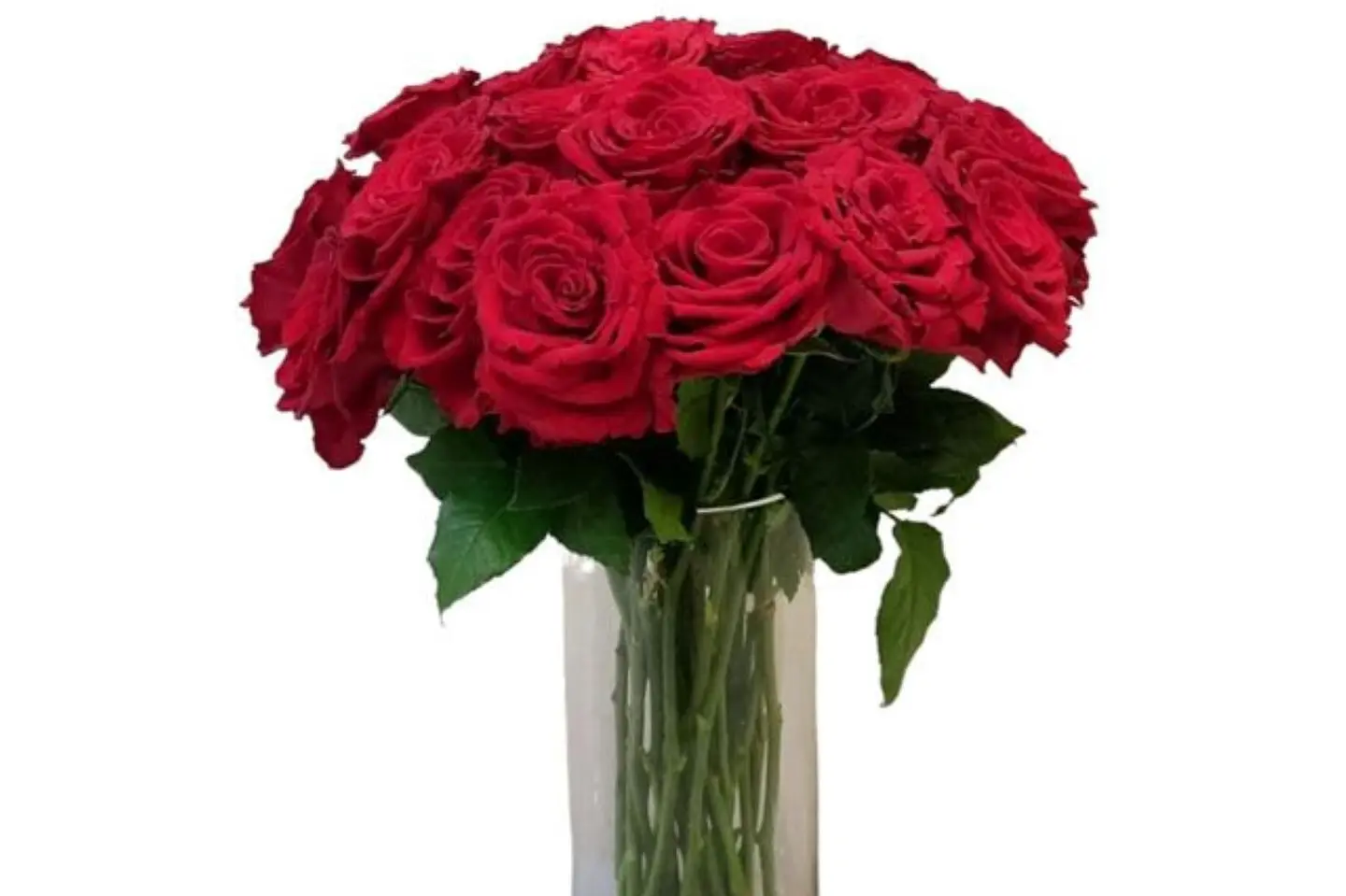 فازه حُب للأبد