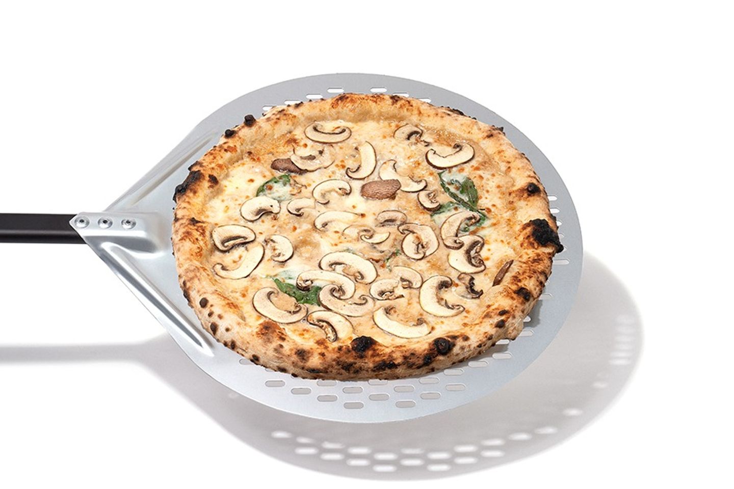 Mushroom Pizza