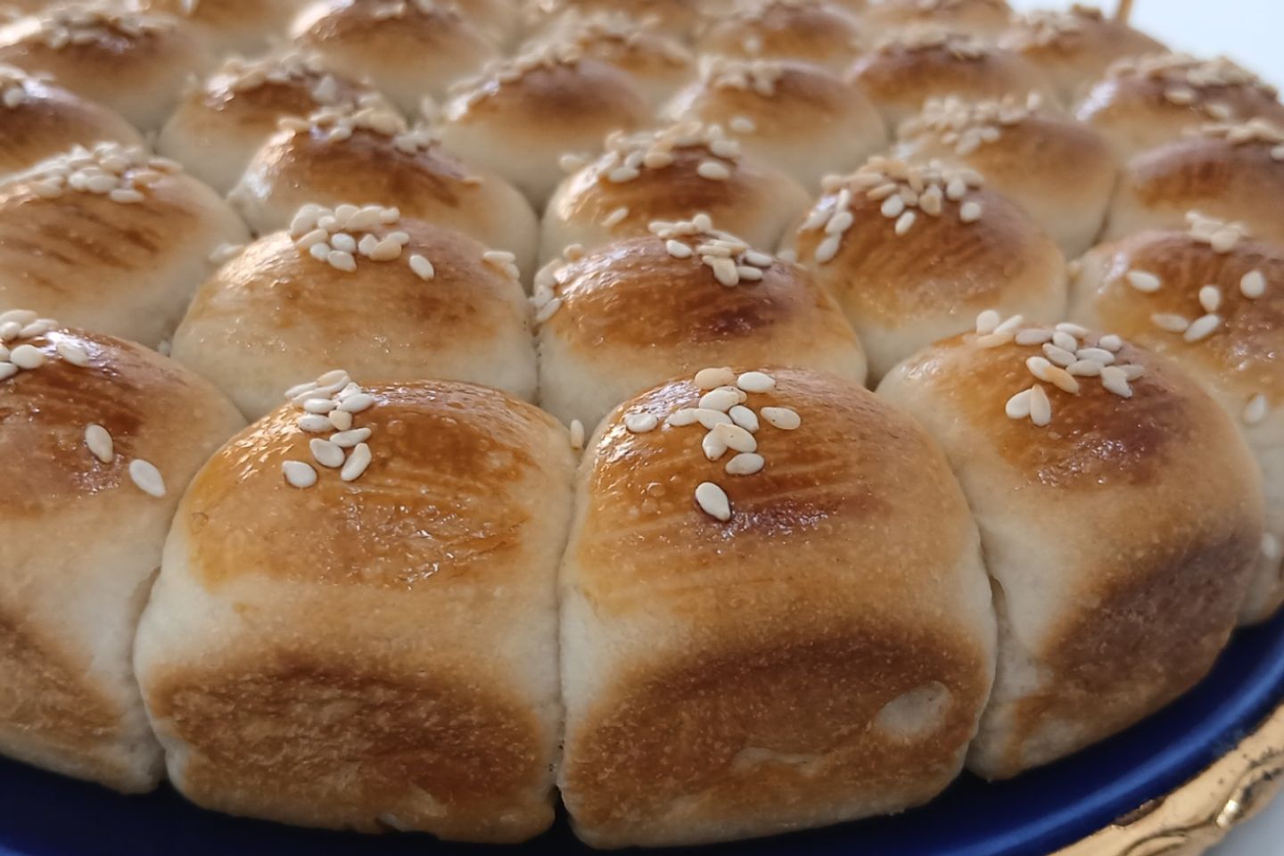 خلية نحل عادي