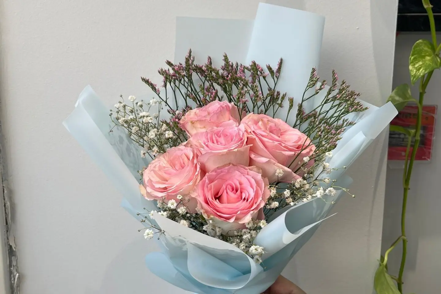 القمر الوردي