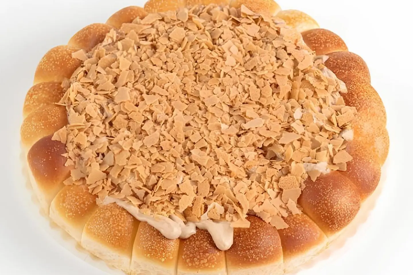 خلية سجنتشر بصوص الحليب المكثف