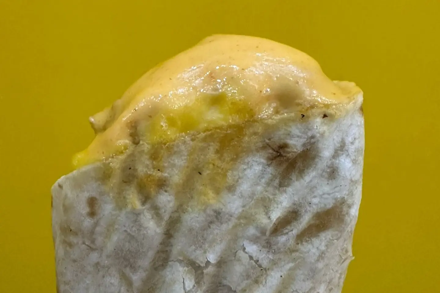 داينمت توستر