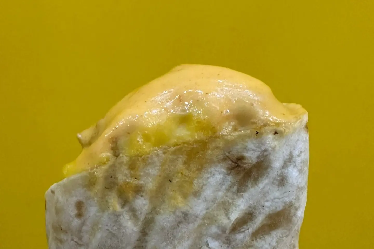 وجبة توستر بريسكت