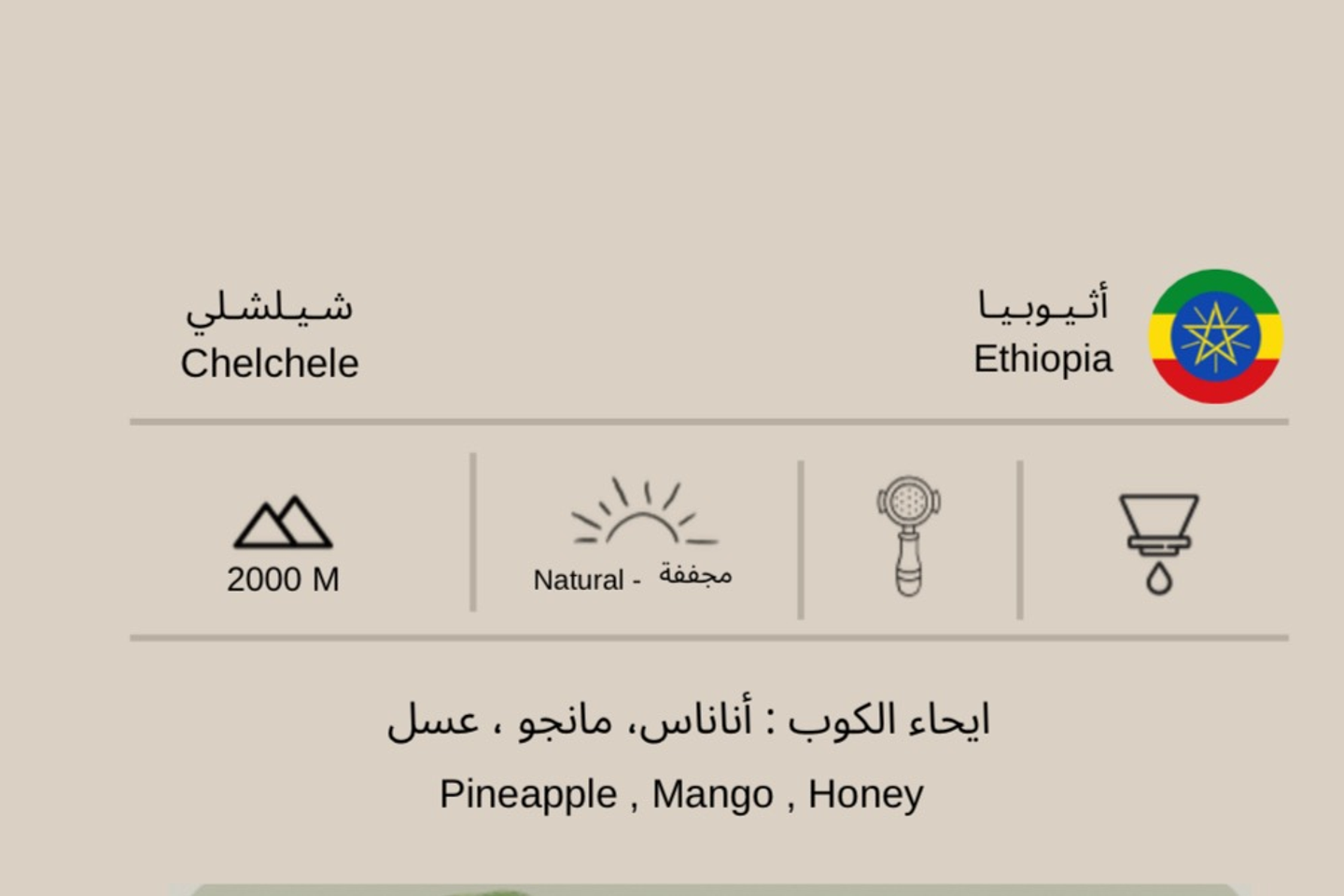اثيوبيا شيلشلي