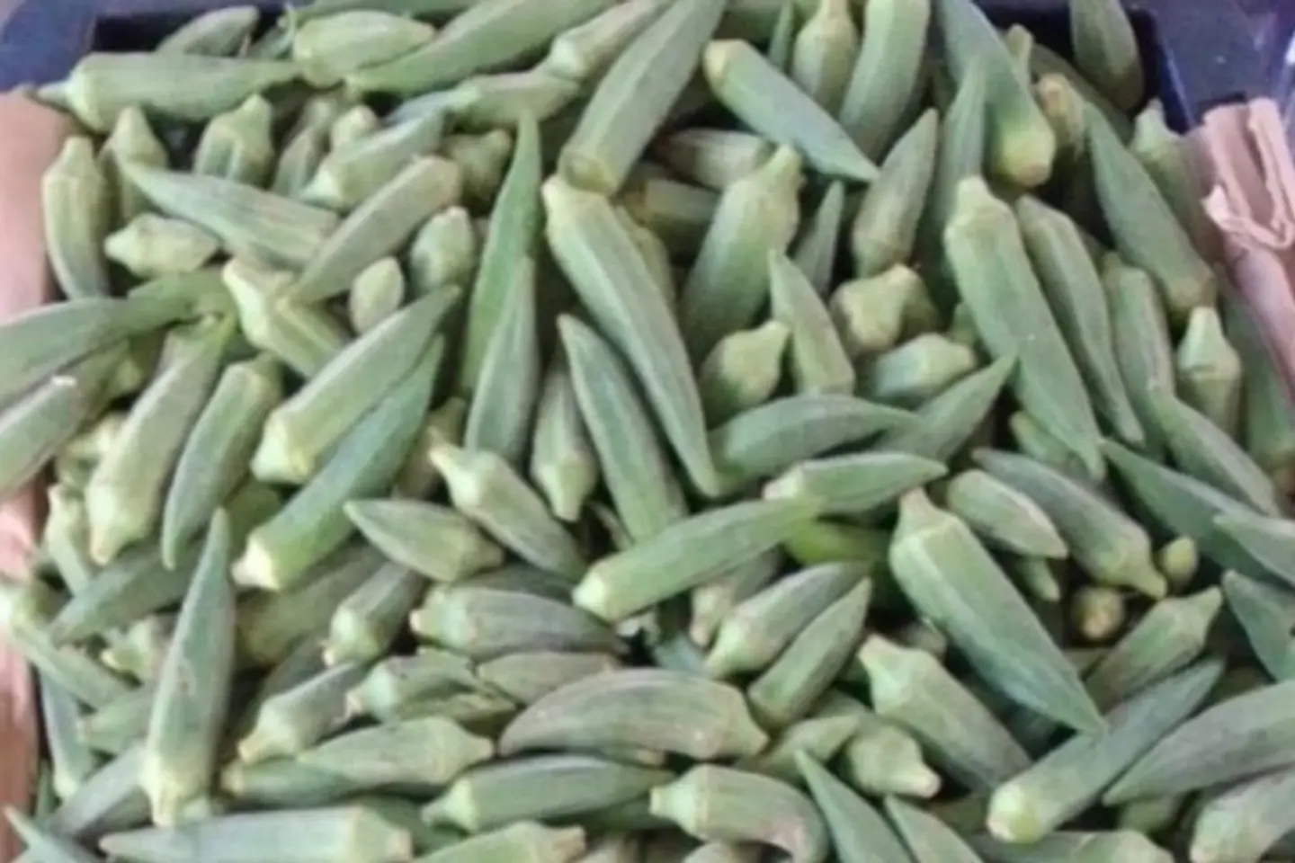 باميه