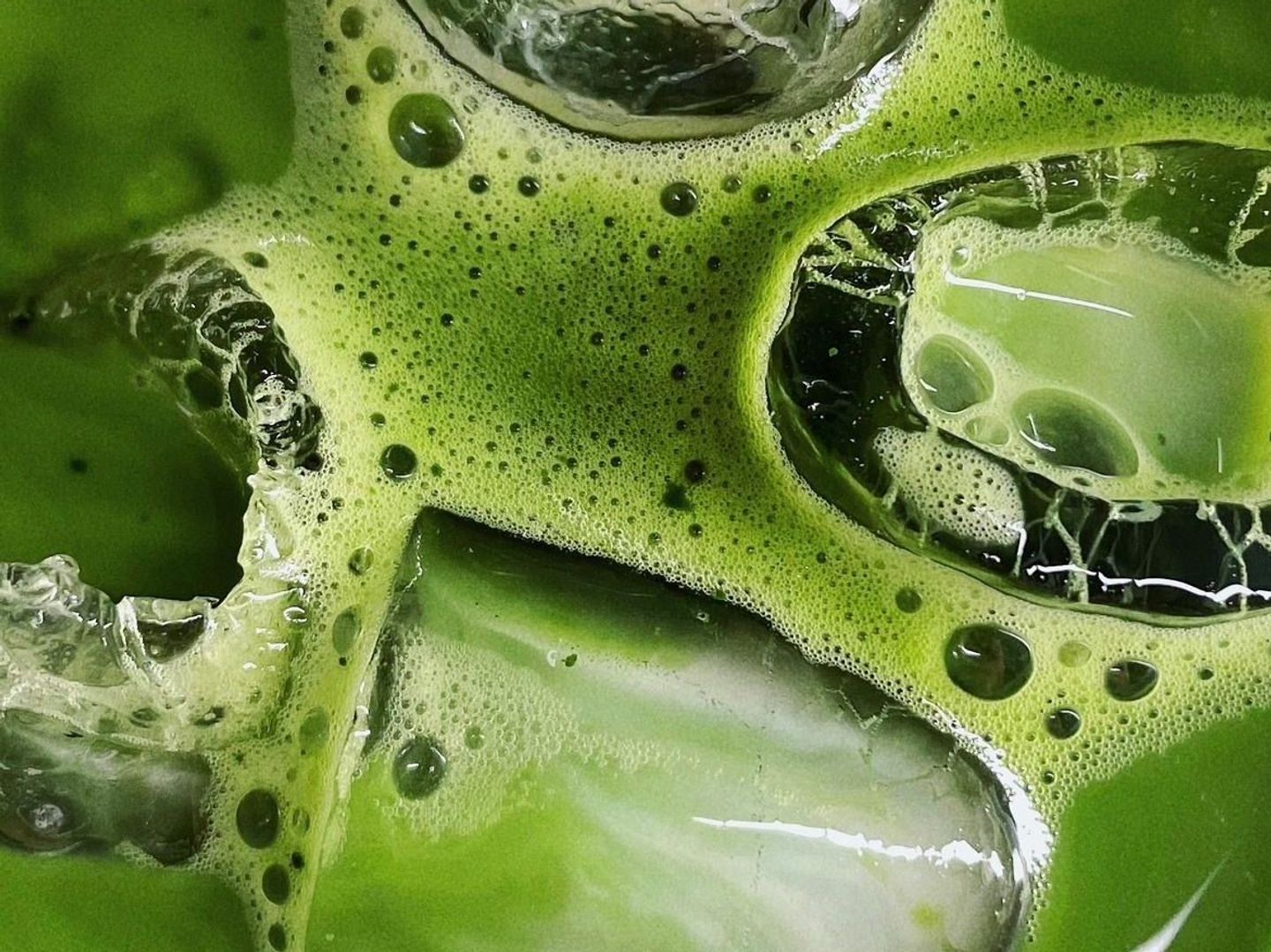 Iced Matcha
