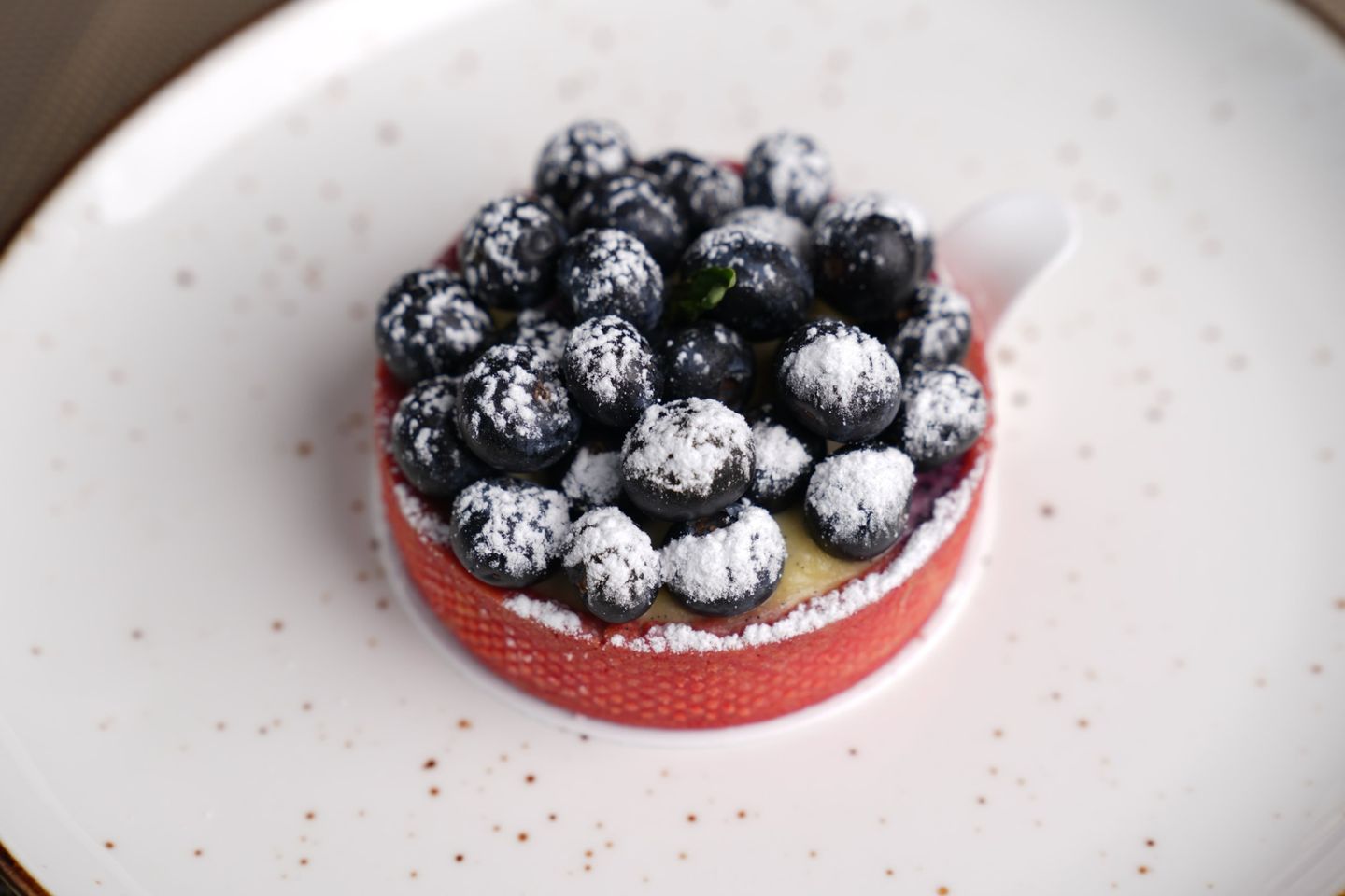 Blue Berry Tart