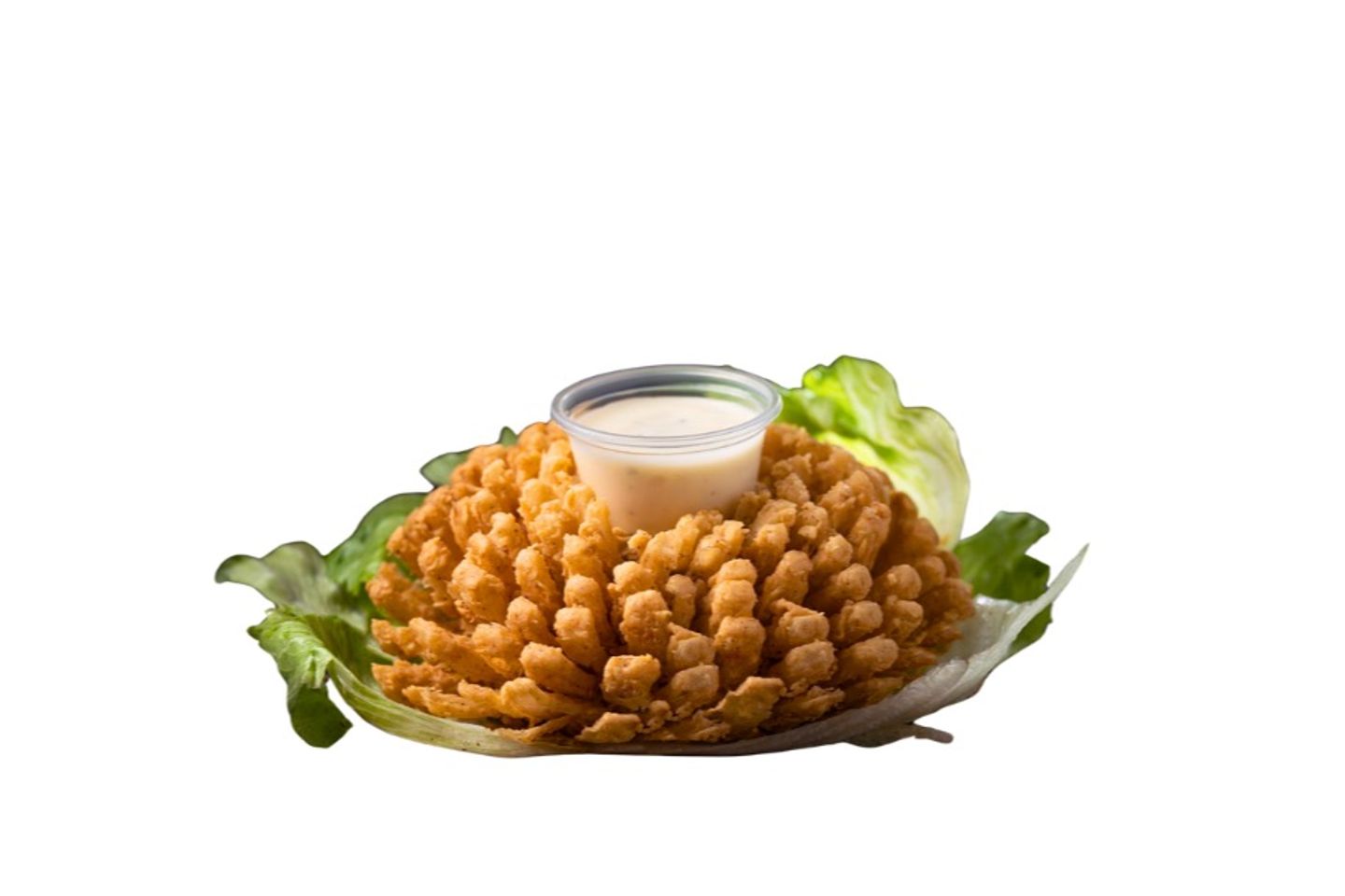 وردة البصل