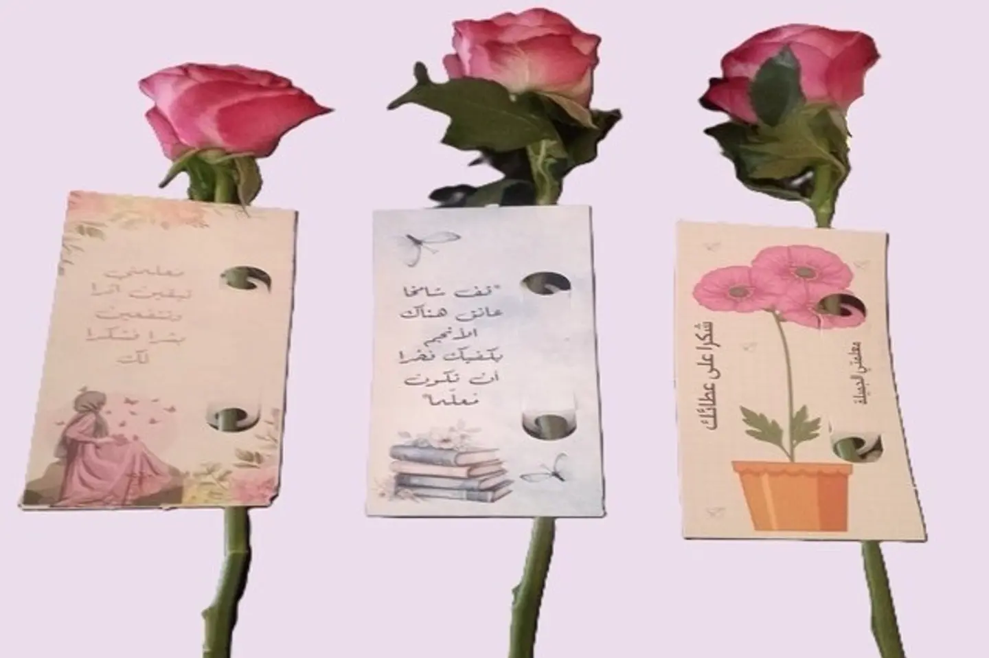 Single Rose For Teacher's Day 4