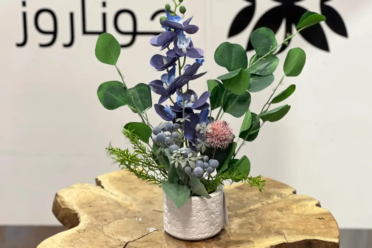 فازات جوناروز ١٣