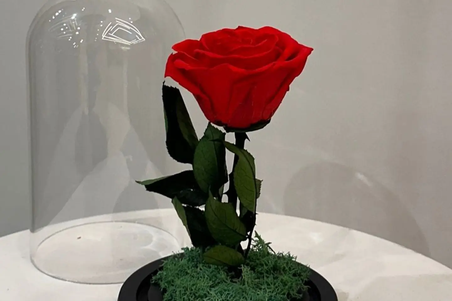 Flowers Orginal But Sem Artificial