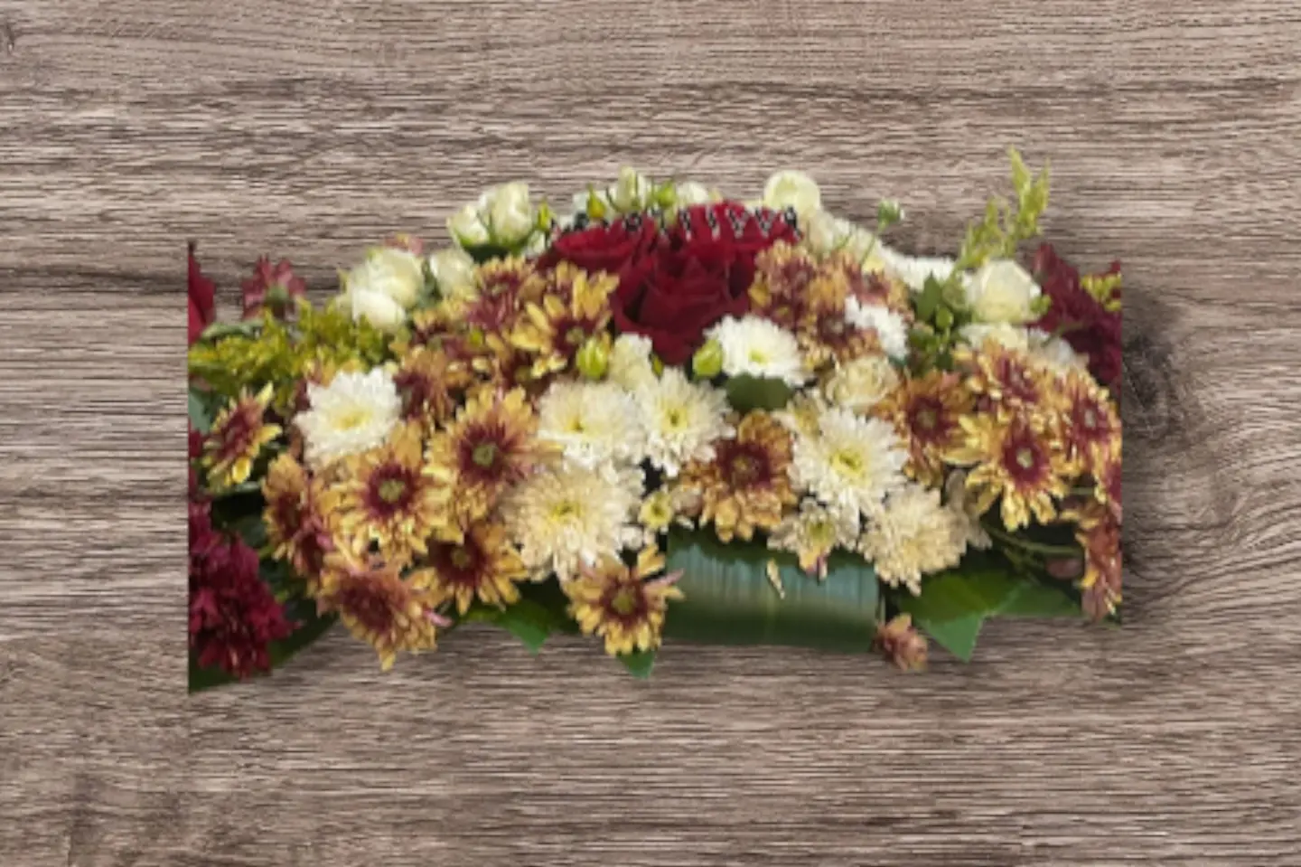 Buckleto Elmo Tamara