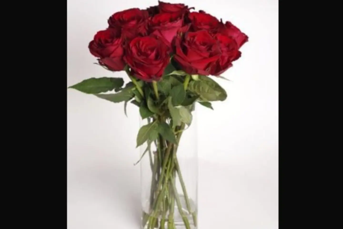 Natural Red Rose Vase