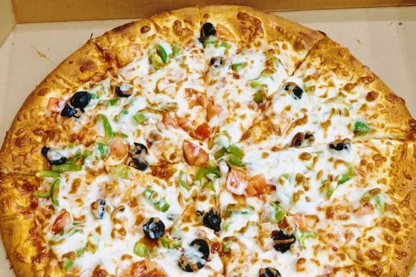 Vegetable Pizza