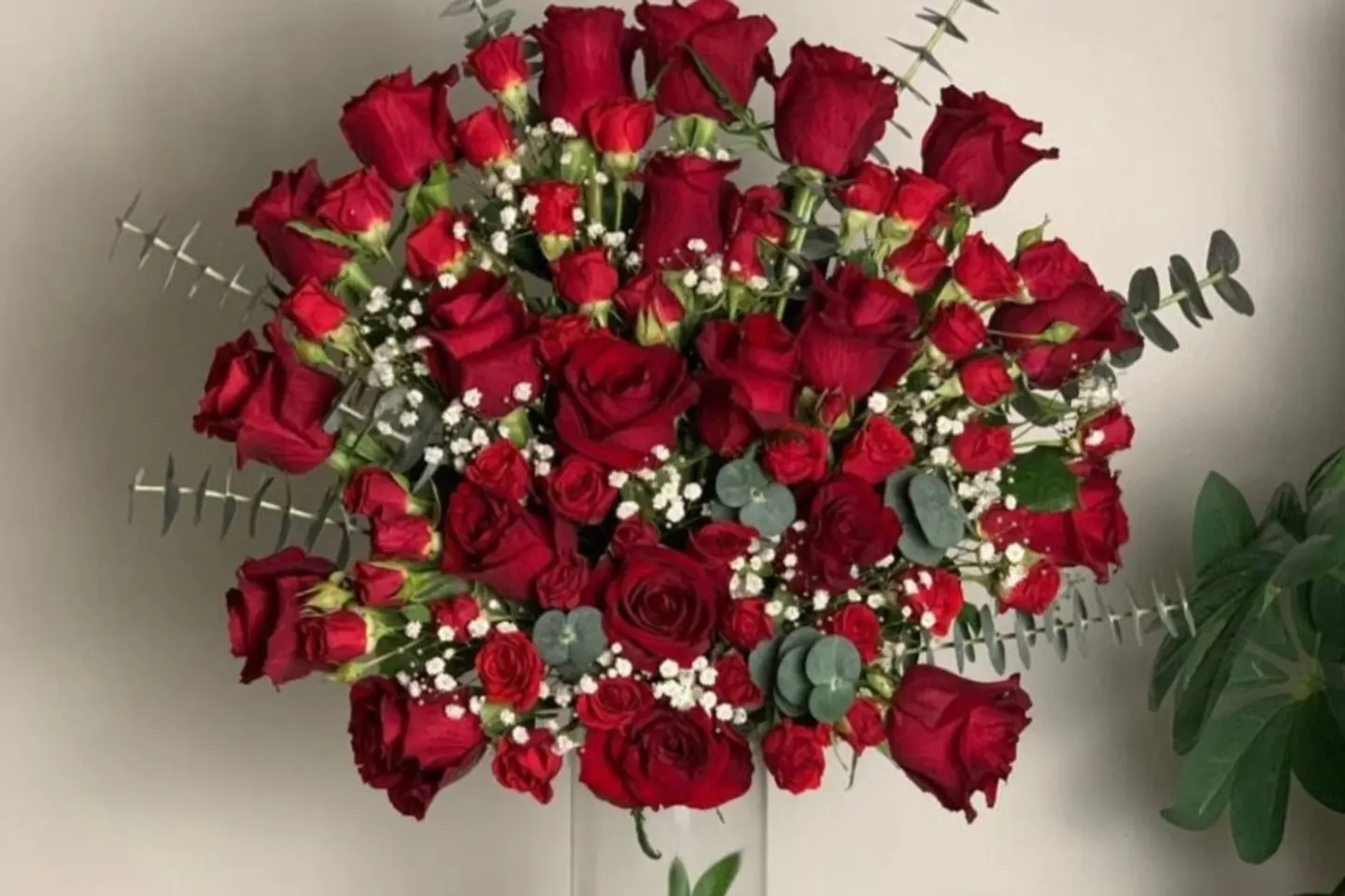 فازة العشق