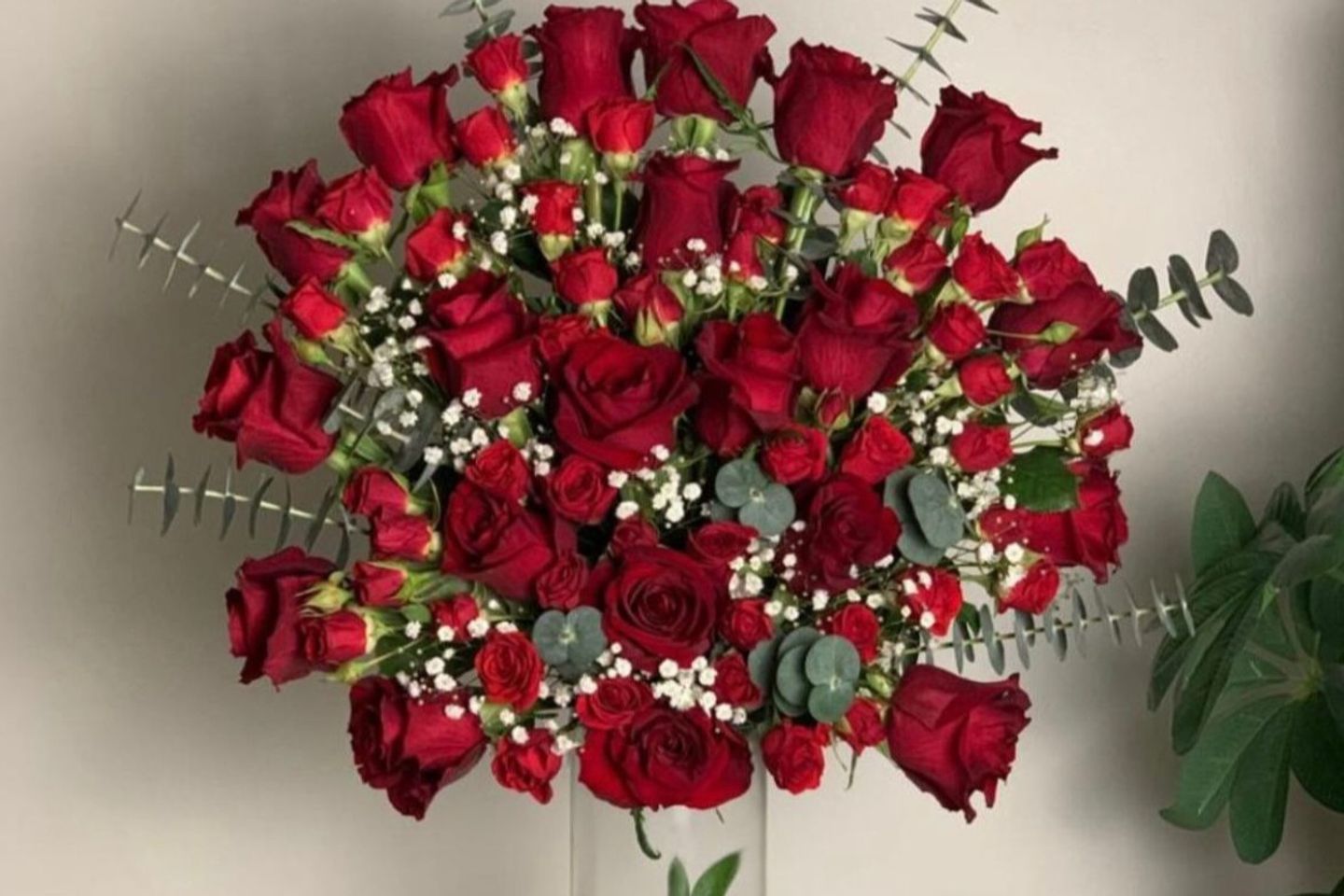 فازة العشق