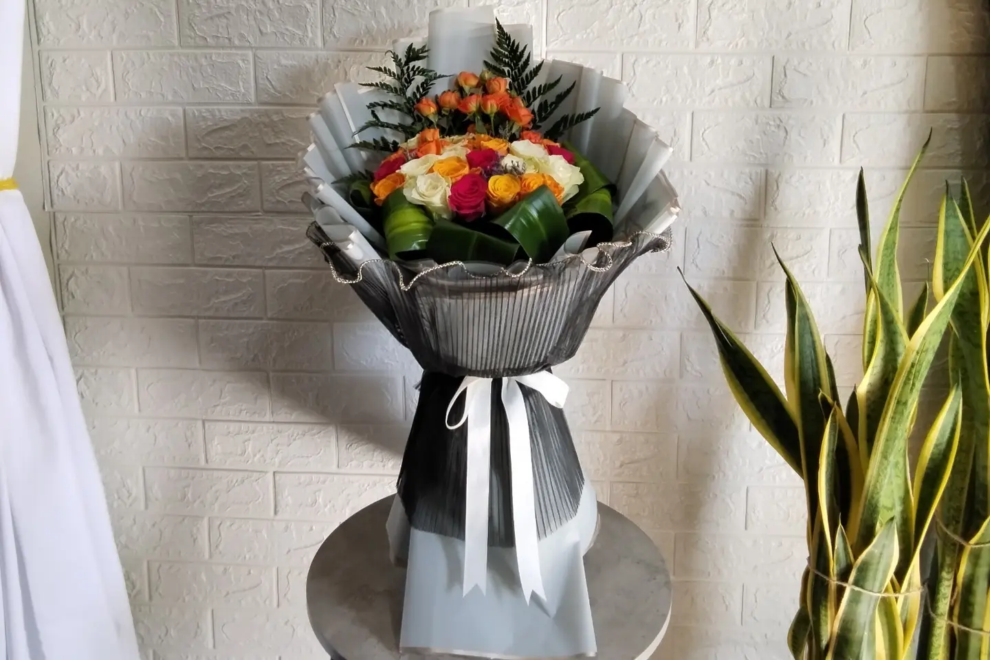 وردة و شتلة ٠٠٢١٢