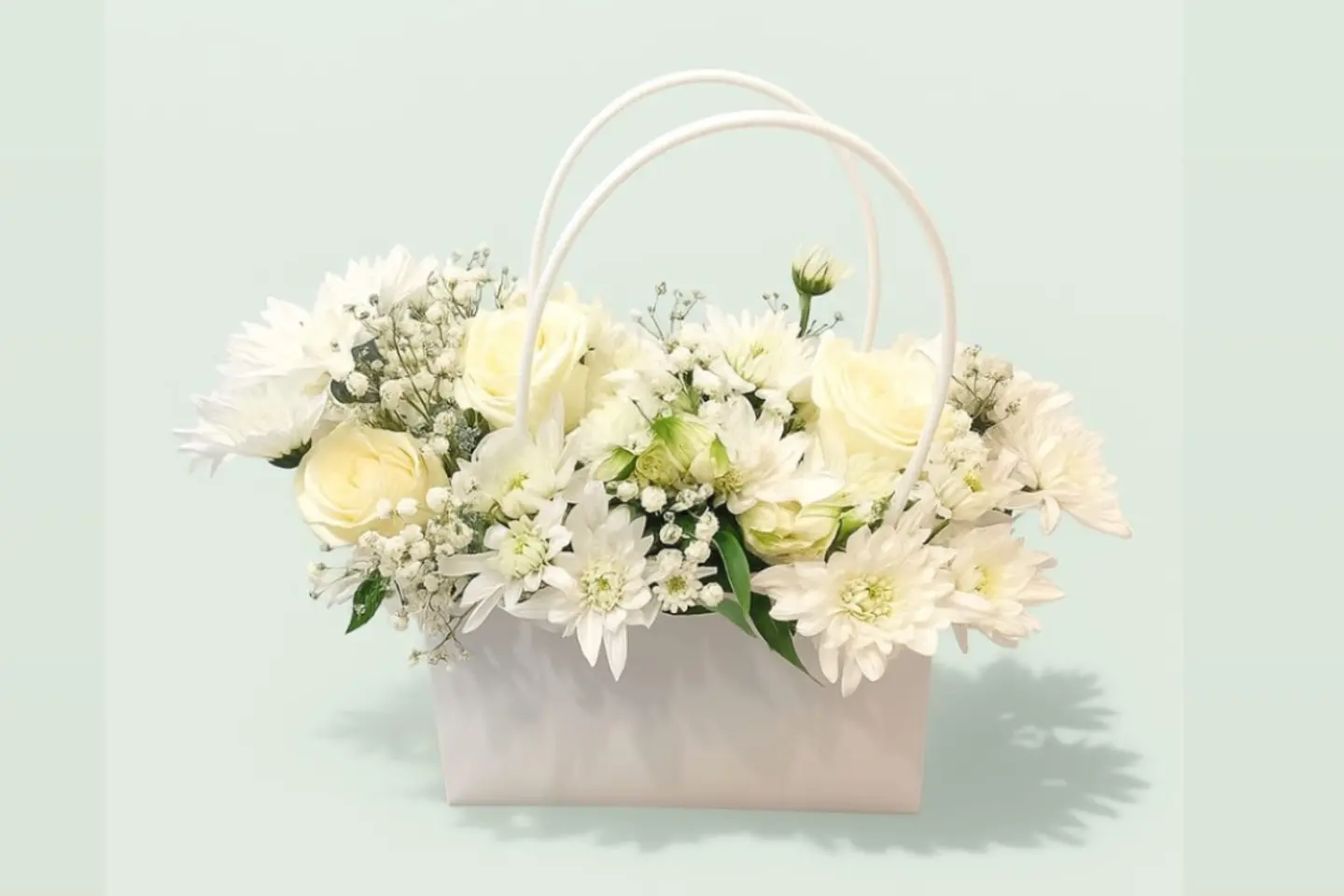 حقيبة بيضاء ٢