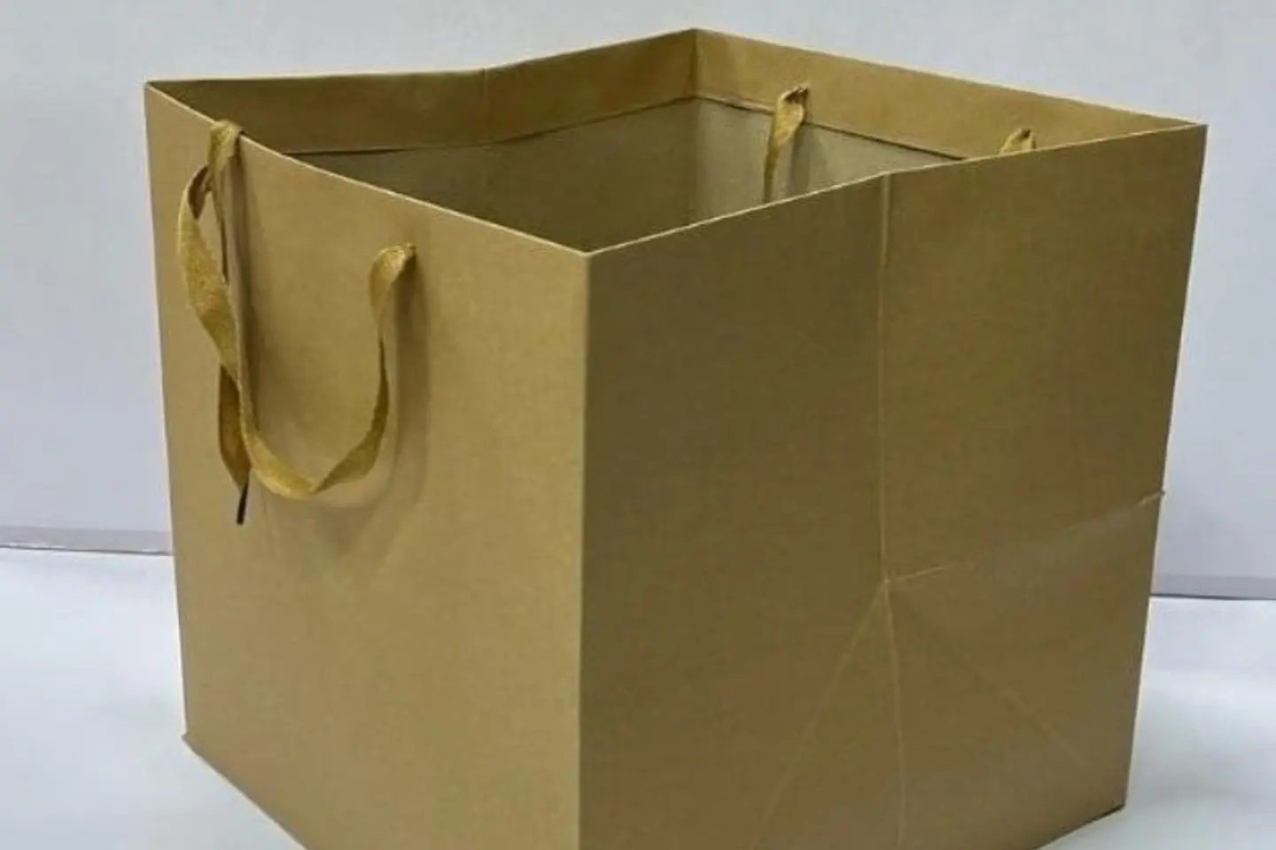 Large Gift Bag