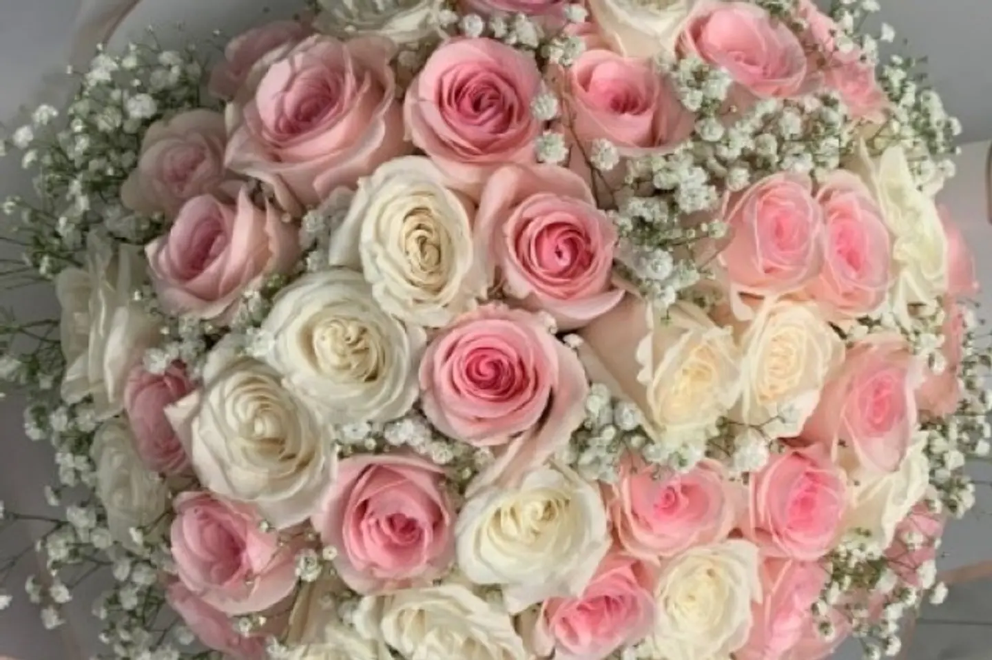 باستيل الوردي والأبيض ٣٥