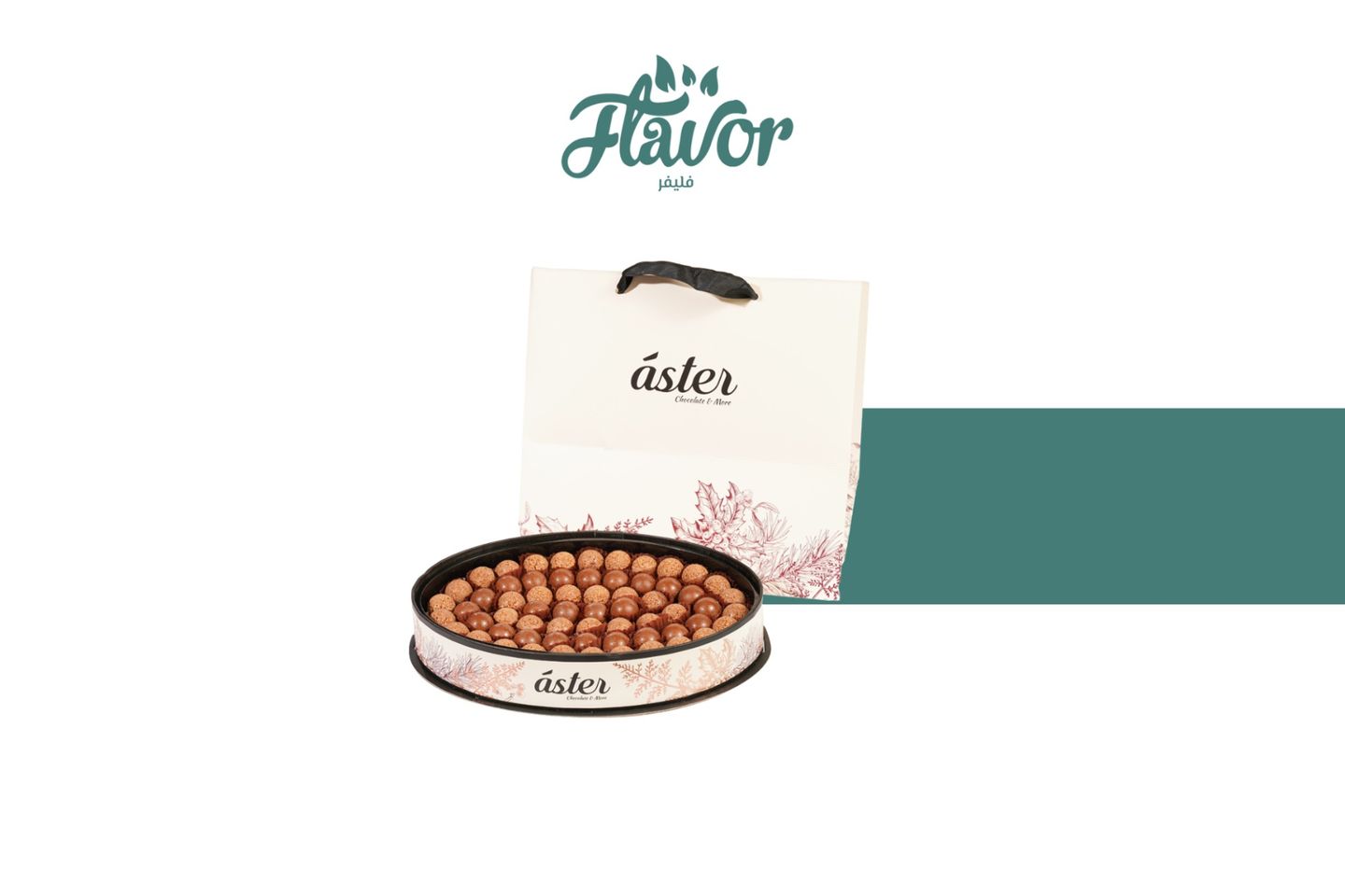 Aster Hazelnut