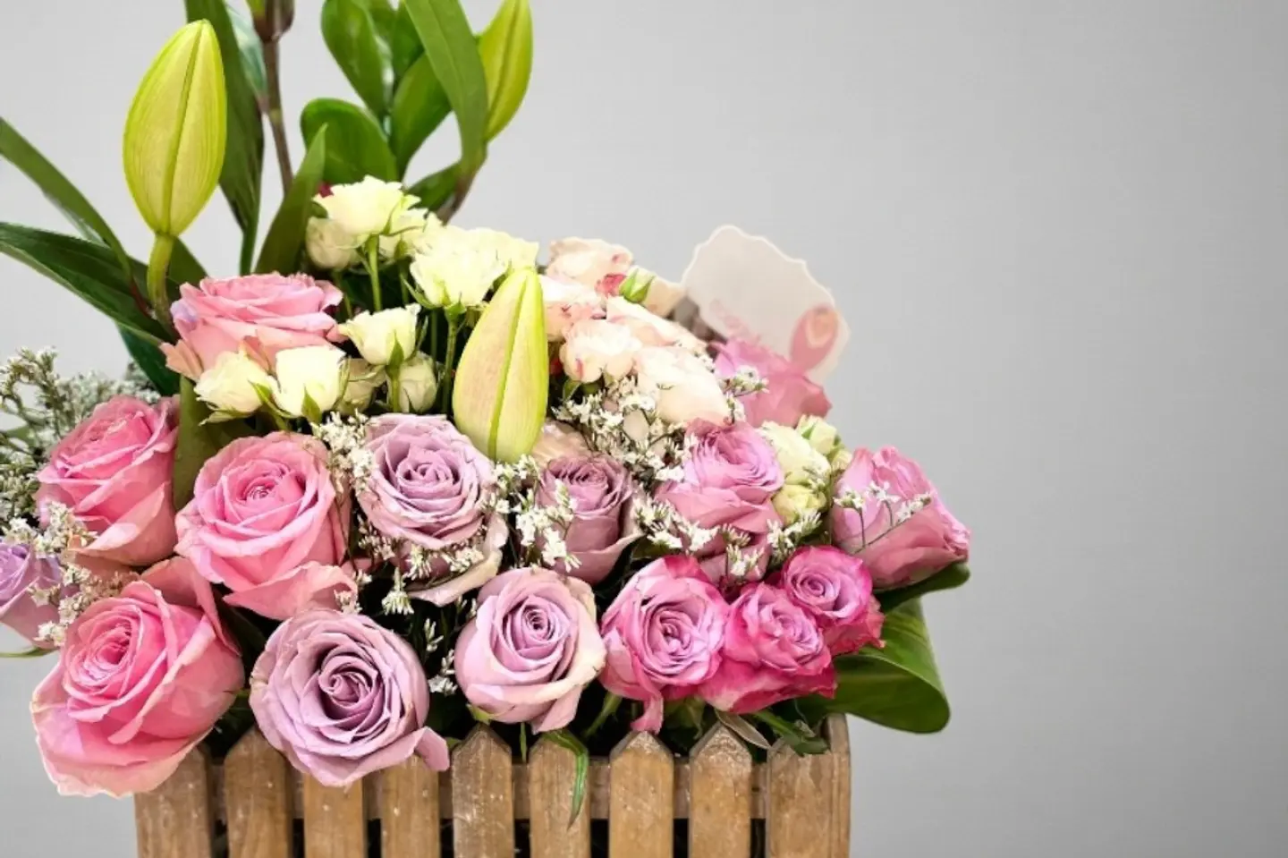 فازه ورد جاردن بوكس