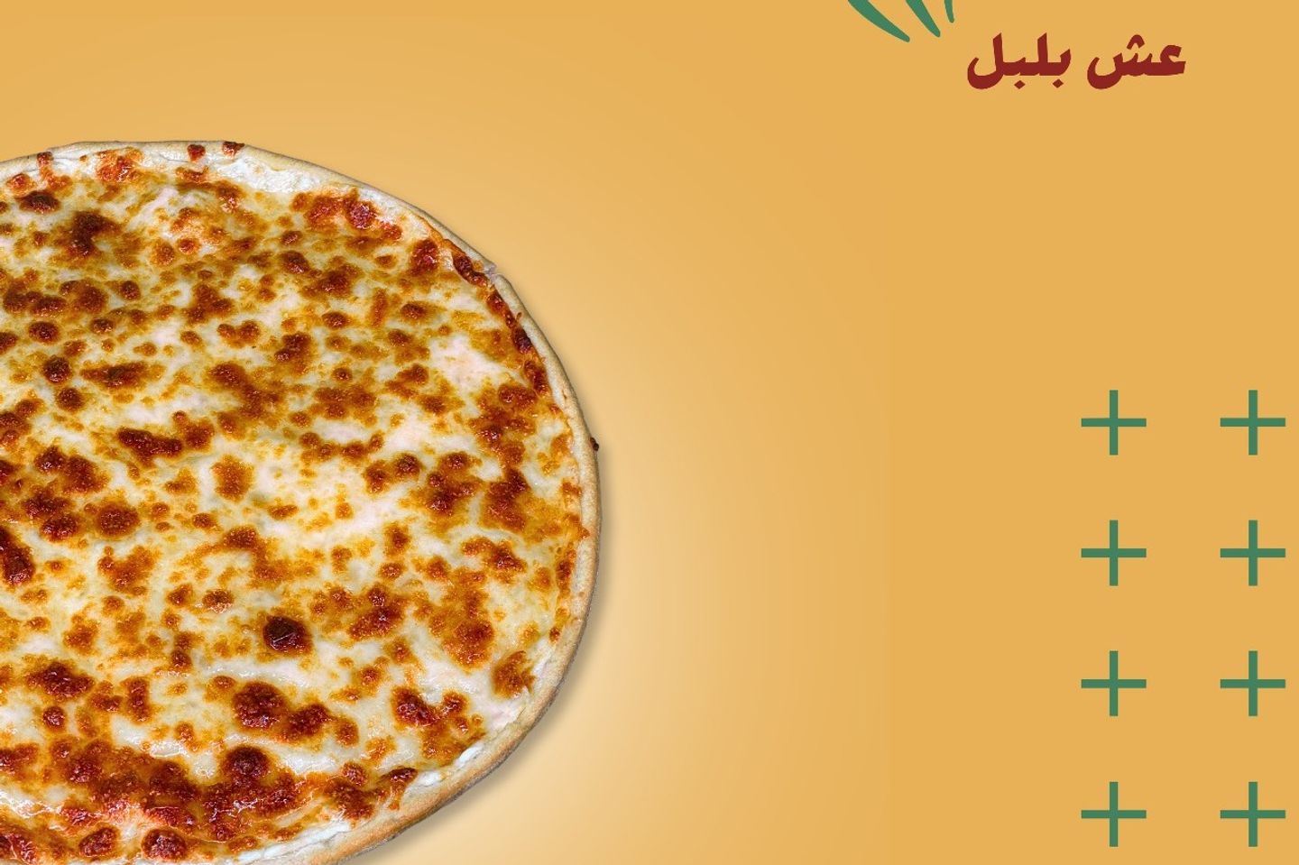 عش البلبل