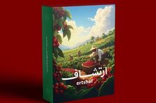 مهيلة ارتشاف الشيوخ