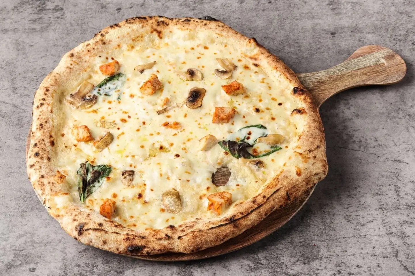 بيتزا الفريدو دجاج