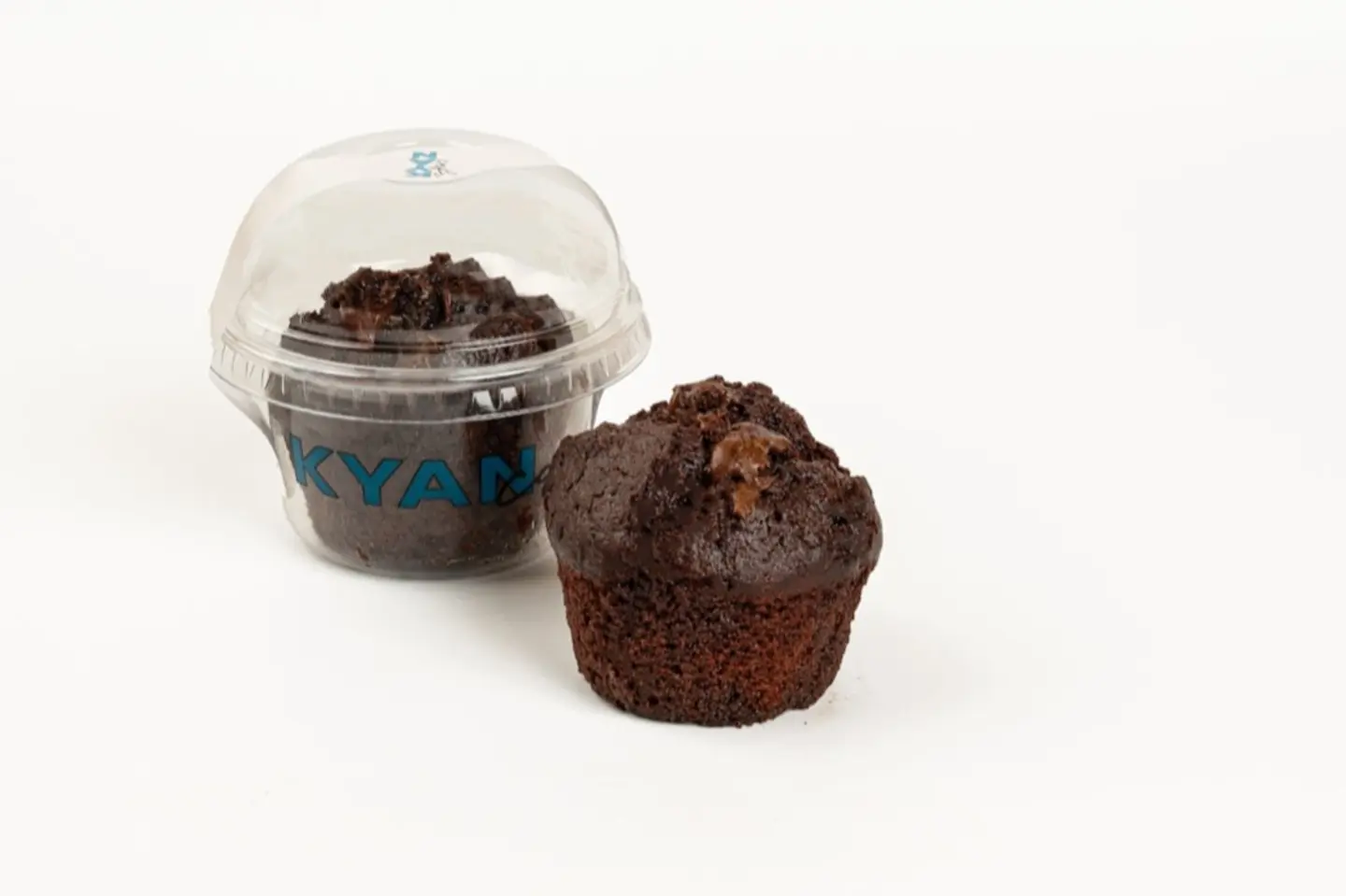 Chocolate Muffin