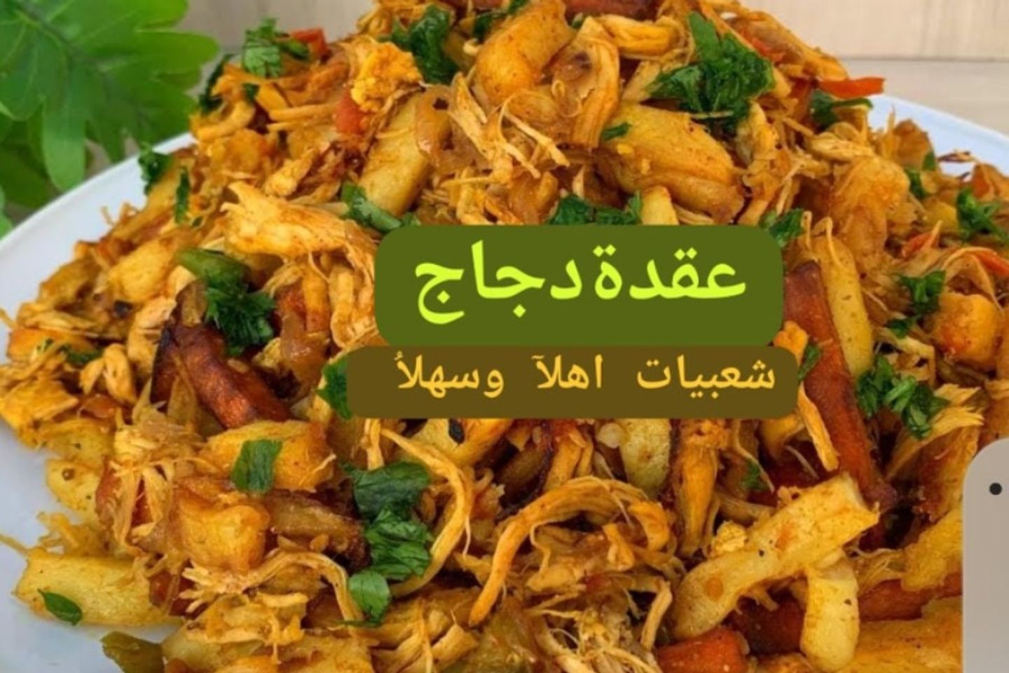 ربع عقدة دجاج بالخضار
