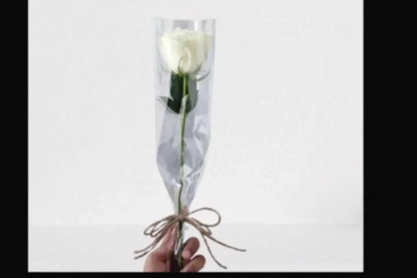 Whaithe Rose