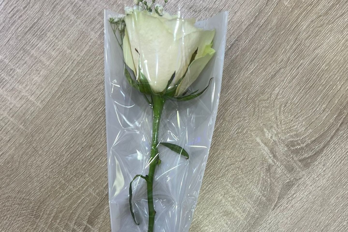Whaithe Rose